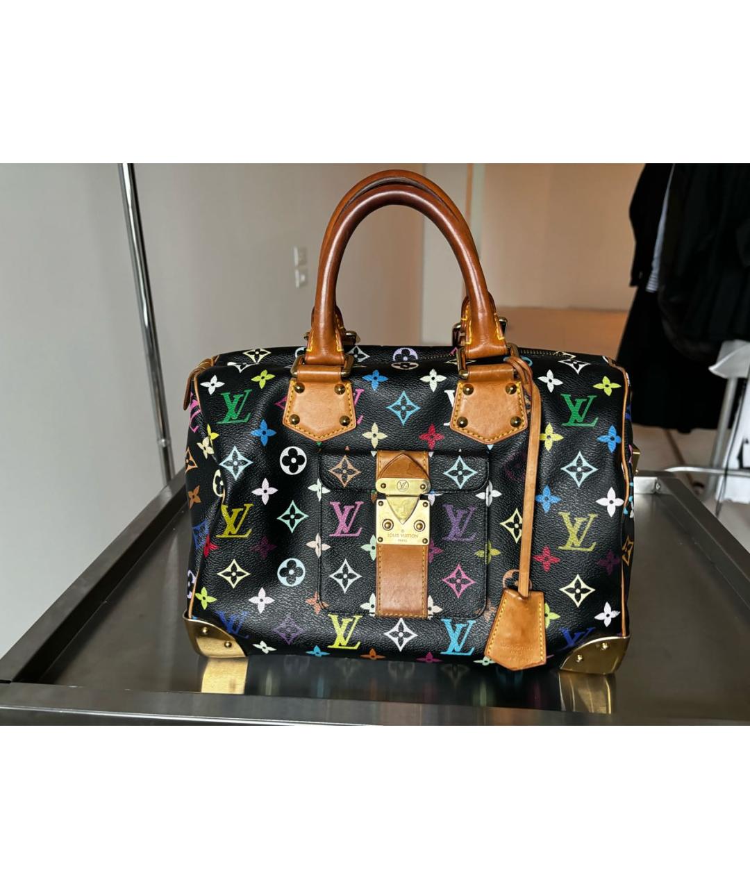 LOUIS VUITTON Мульти сумка с короткими ручками, фото 2