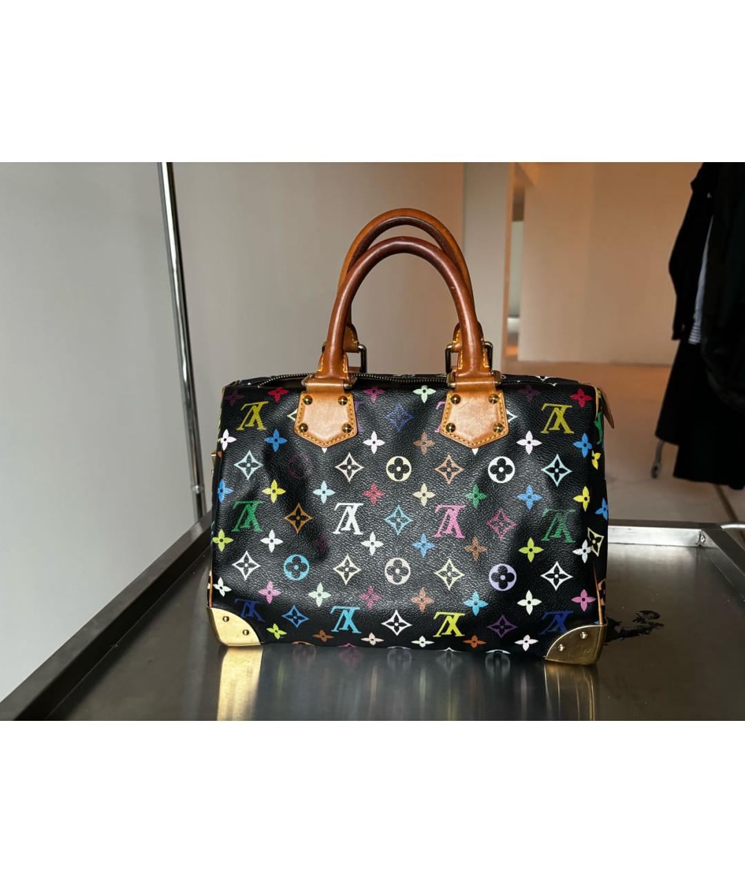 LOUIS VUITTON Мульти сумка с короткими ручками, фото 3