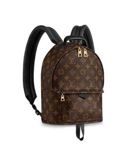 LOUIS VUITTON Рюкзак