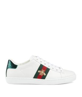 GUCCI Кроссовки