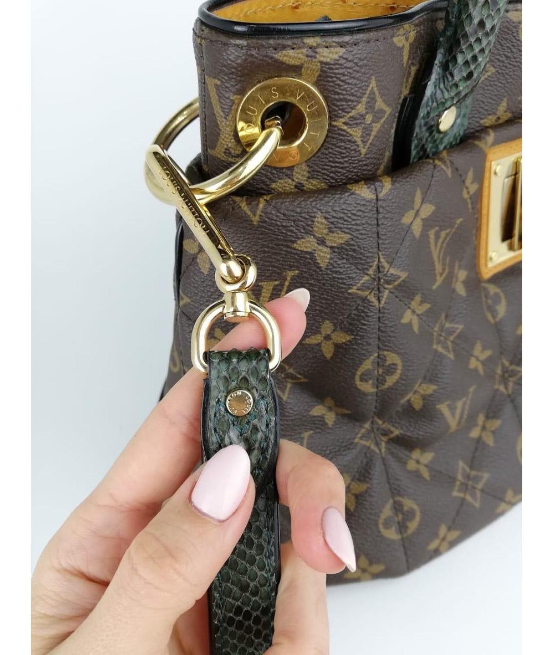 LOUIS VUITTON Коричневая сумка тоут, фото 3