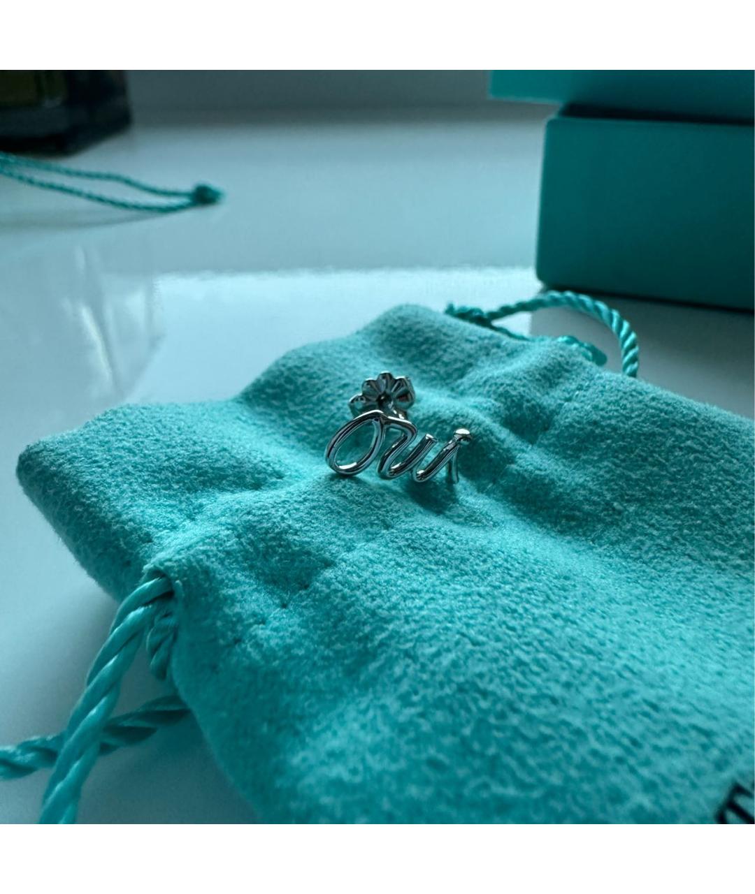 TIFFANY&CO Серебряные серебряные серьги, фото 3