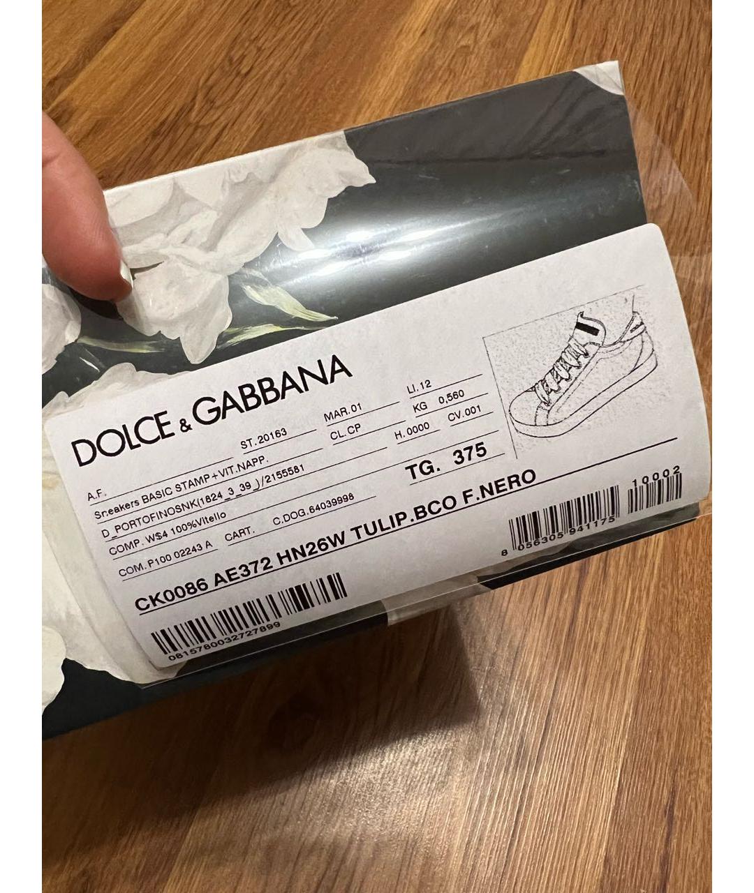 DOLCE&GABBANA Зеленые кожаные кеды, фото 6