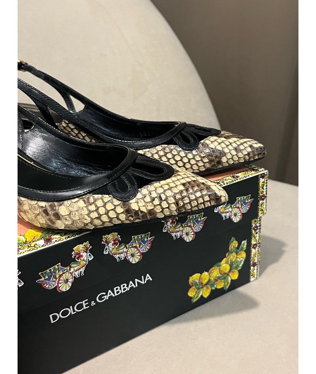 DOLCE&GABBANA Бежевые туфли из экзотической кожи, фото 5