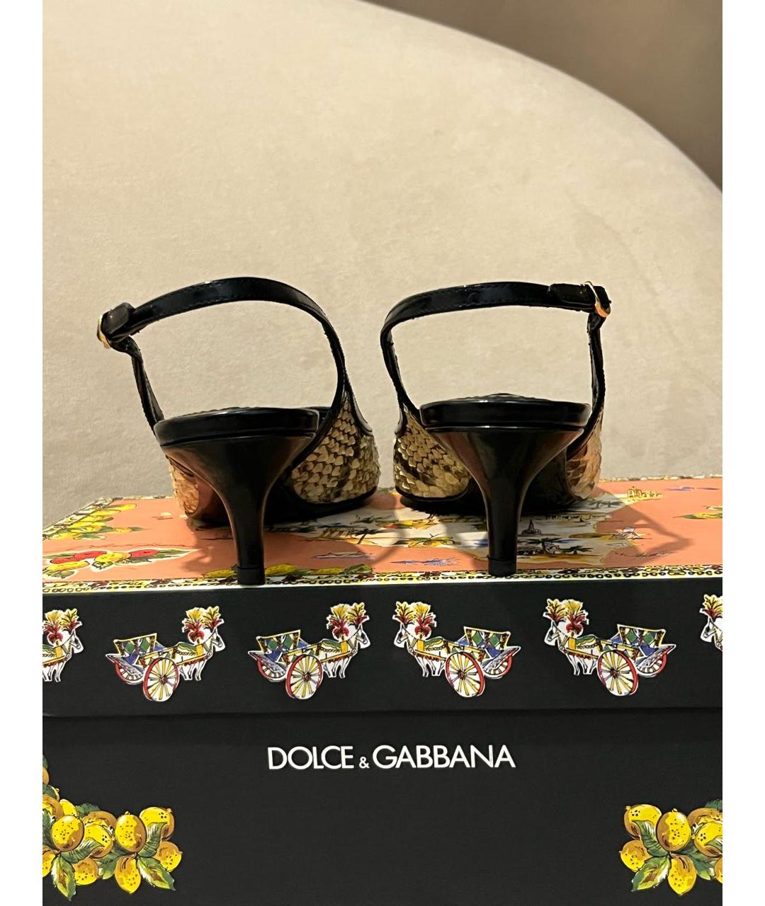 DOLCE&GABBANA Бежевые туфли из экзотической кожи, фото 4