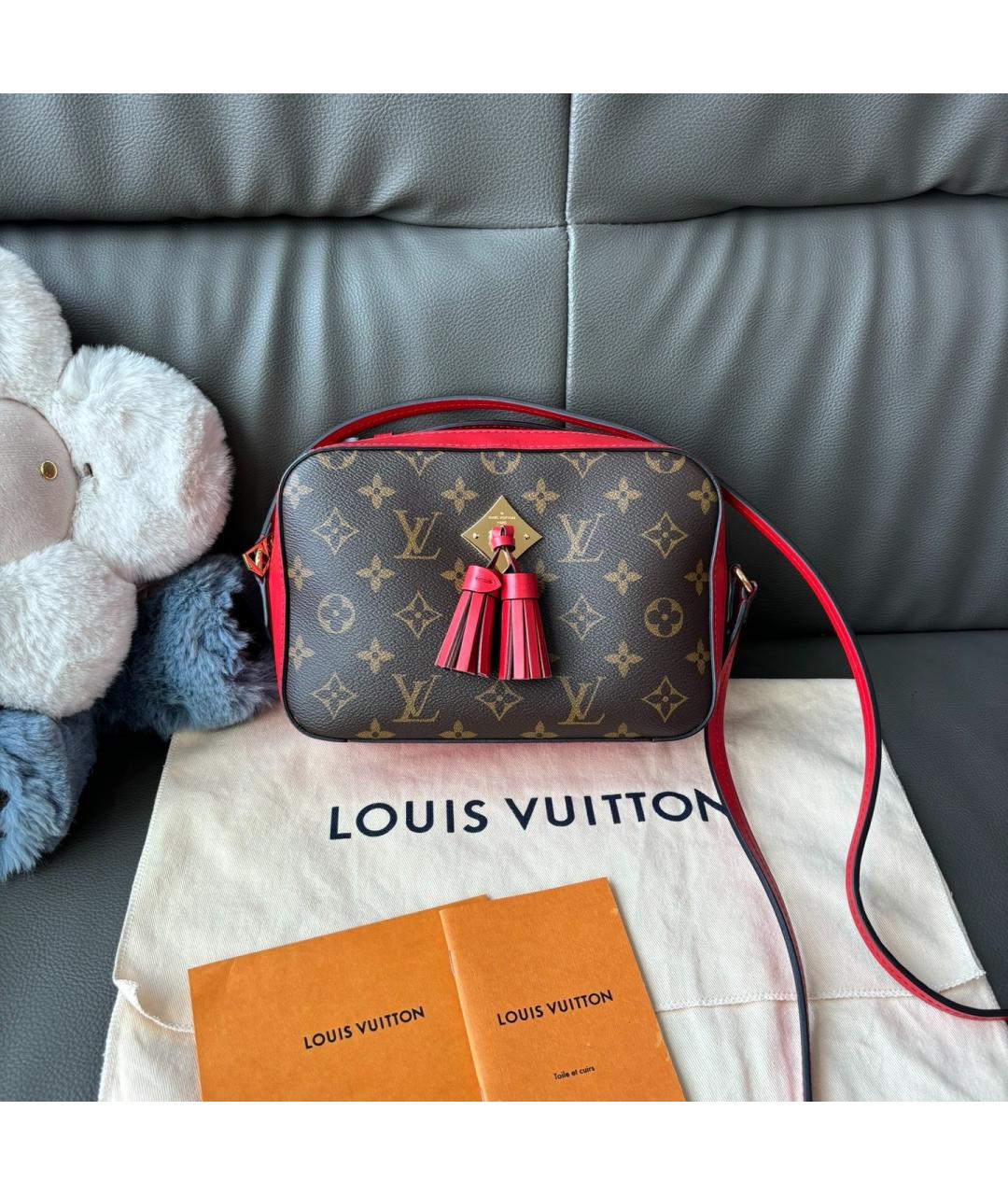 LOUIS VUITTON Сумка через плечо, фото 9