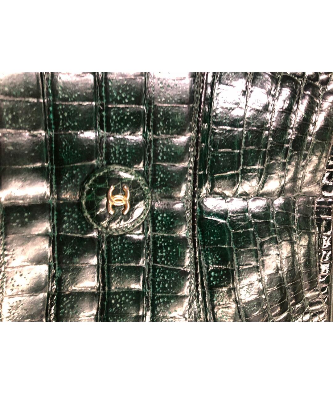 CHANEL Зеленая сумка тоут из экзотической кожи, фото 7