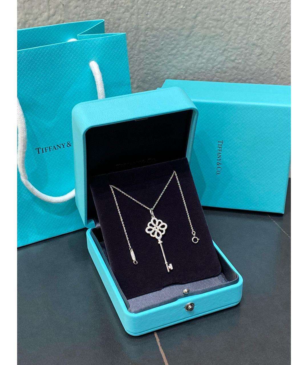 TIFFANY&CO Белое колье из белого золота, фото 3