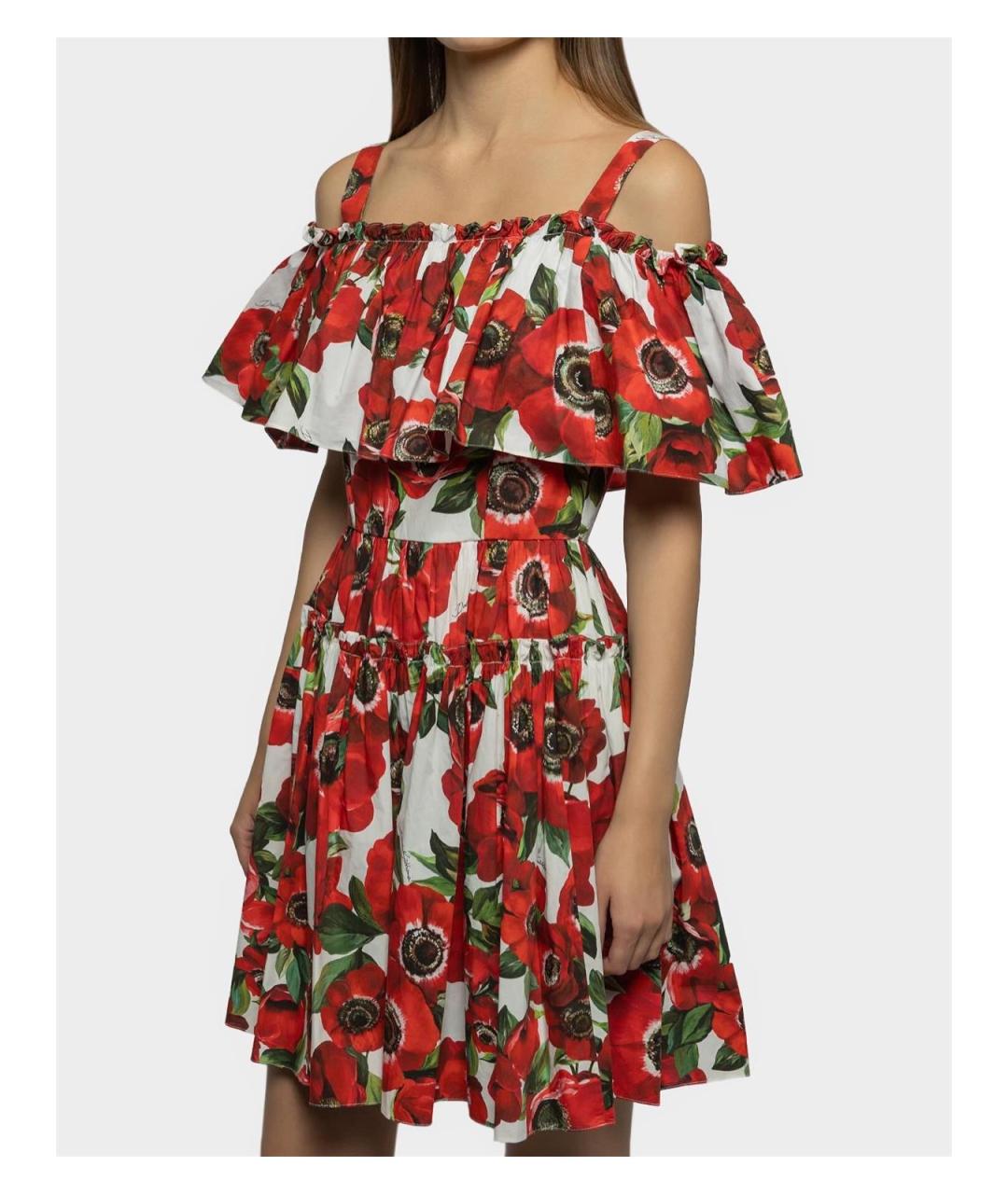 DOLCE&GABBANA Мульти хлопковое повседневное платье, фото 2