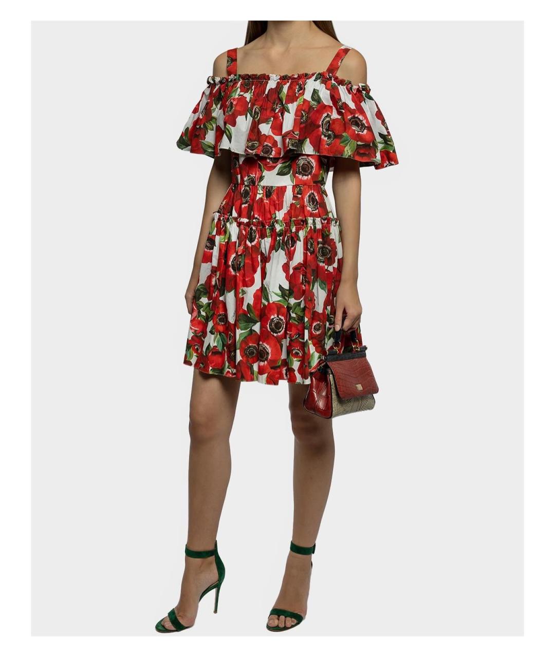 DOLCE&GABBANA Мульти хлопковое повседневное платье, фото 4