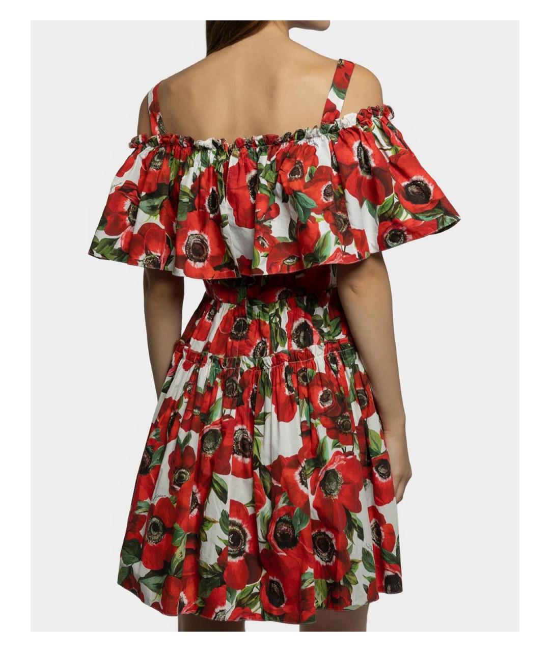 DOLCE&GABBANA Мульти хлопковое повседневное платье, фото 3