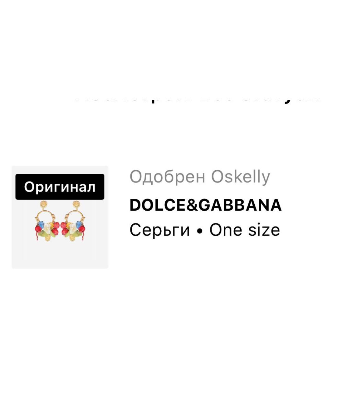 DOLCE&GABBANA Мульти клипсы, фото 5