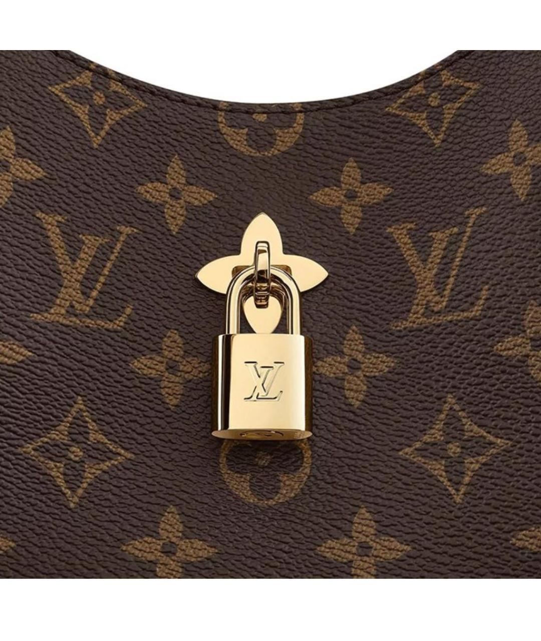 LOUIS VUITTON Коричневая сумка тоут, фото 8