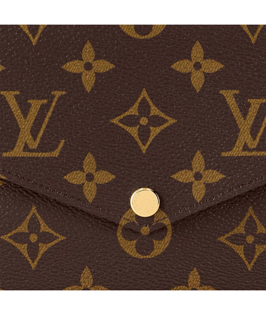 LOUIS VUITTON Коричневая сумка через плечо, фото 4