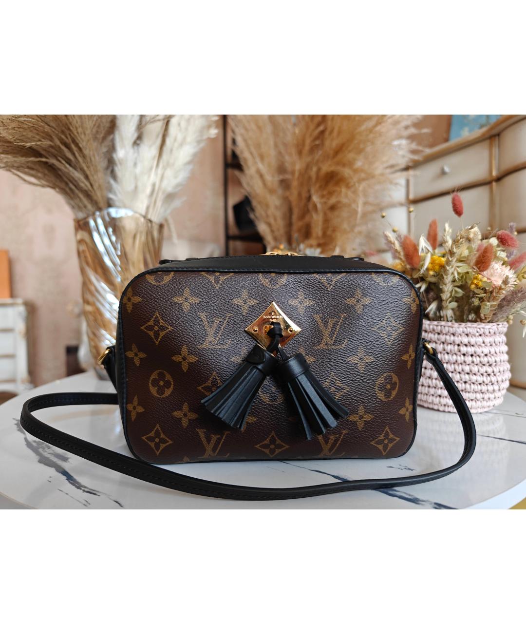 LOUIS VUITTON Сумка с короткими ручками, фото 2