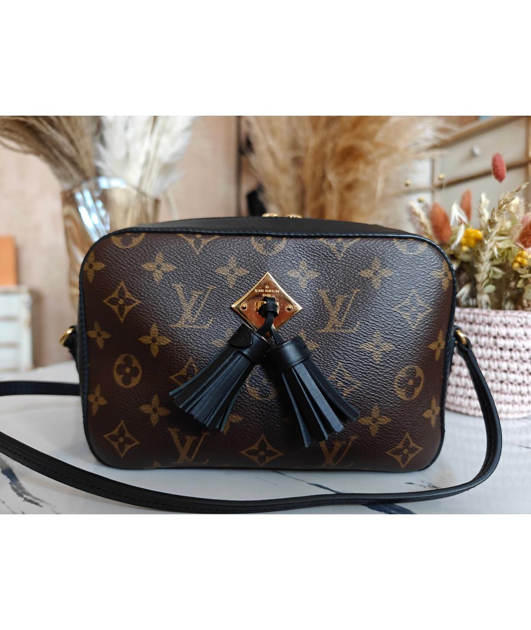 LOUIS VUITTON Сумка с короткими ручками, фото 8