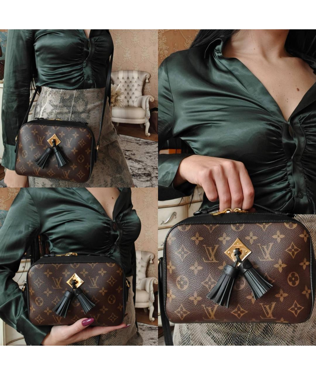 LOUIS VUITTON Сумка с короткими ручками, фото 5