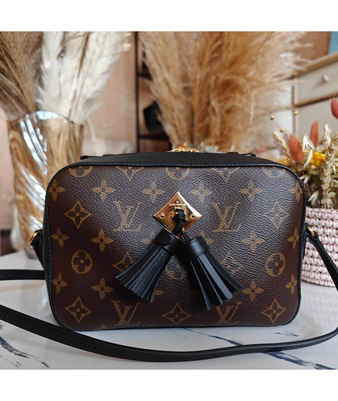 LOUIS VUITTON Сумка с короткими ручками, фото 9