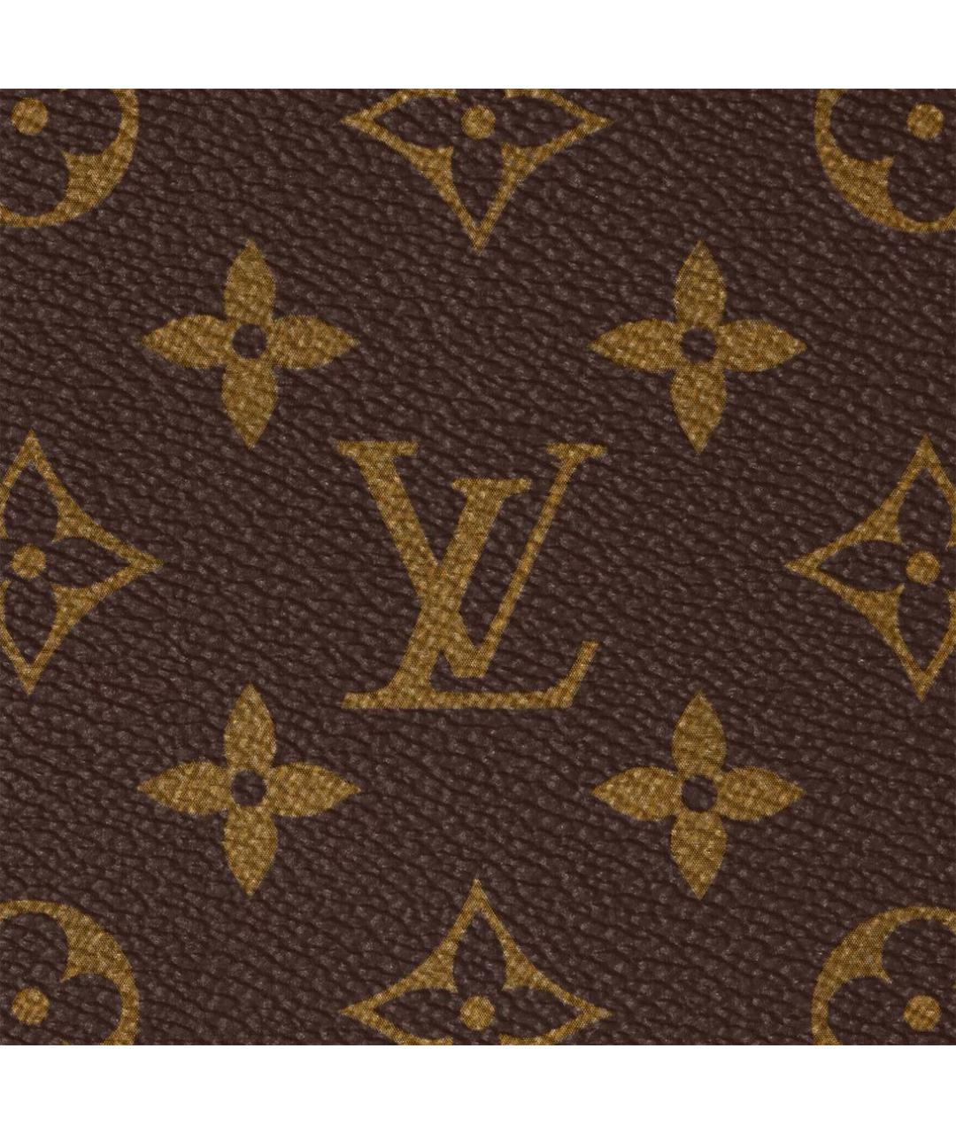 LOUIS VUITTON Чемодан, фото 5