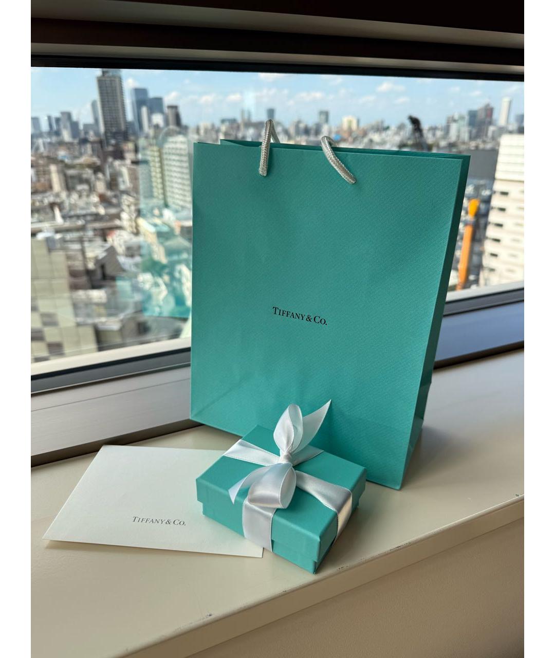 TIFFANY&CO Бирюзовая серебряная подвеска, фото 4