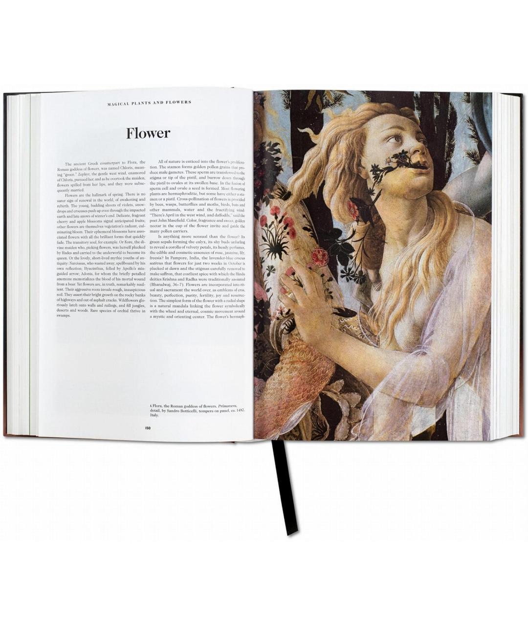 TASCHEN Книга, фото 6