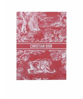 CHRISTIAN DIOR Книга