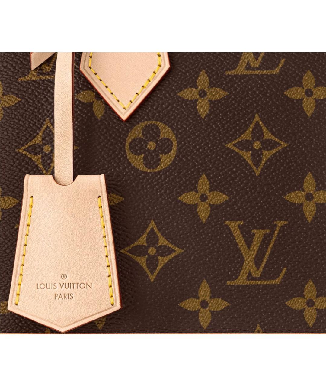 LOUIS VUITTON Сумка с короткими ручками, фото 5