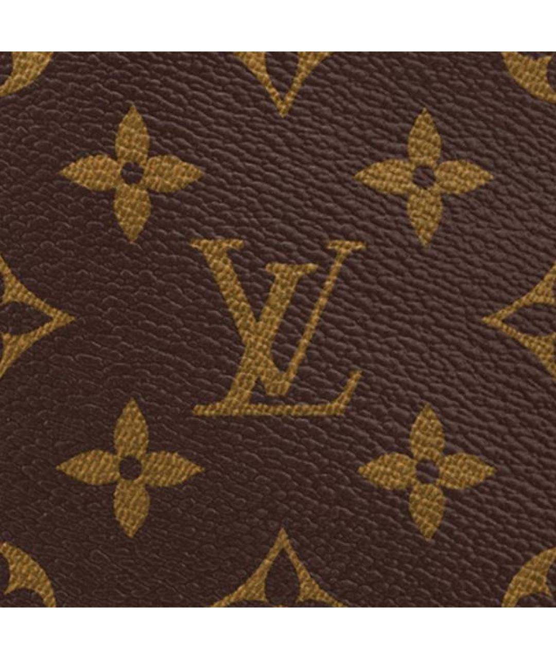 LOUIS VUITTON Коричневая сумка тоут, фото 5