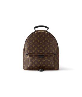 LOUIS VUITTON Рюкзак