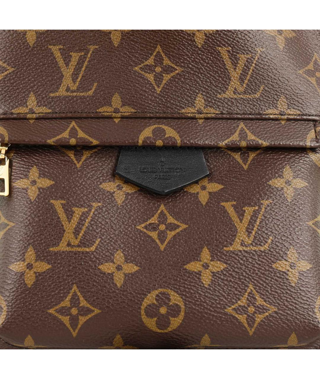 LOUIS VUITTON Коричневый кожаный рюкзак, фото 8