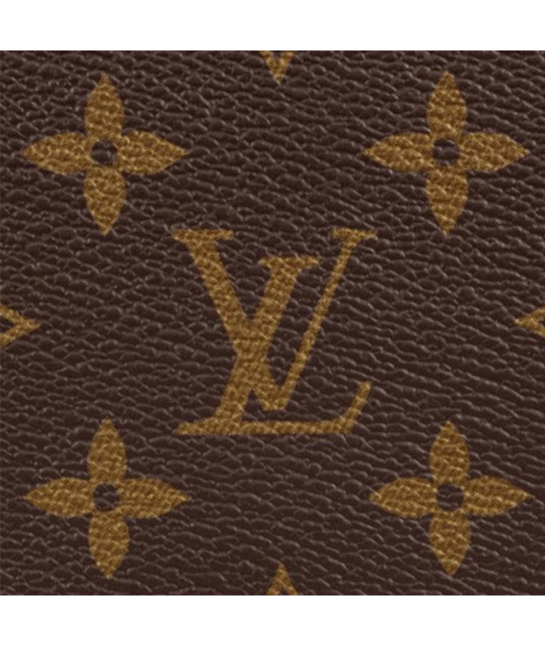 LOUIS VUITTON Коричневая сумка тоут, фото 6