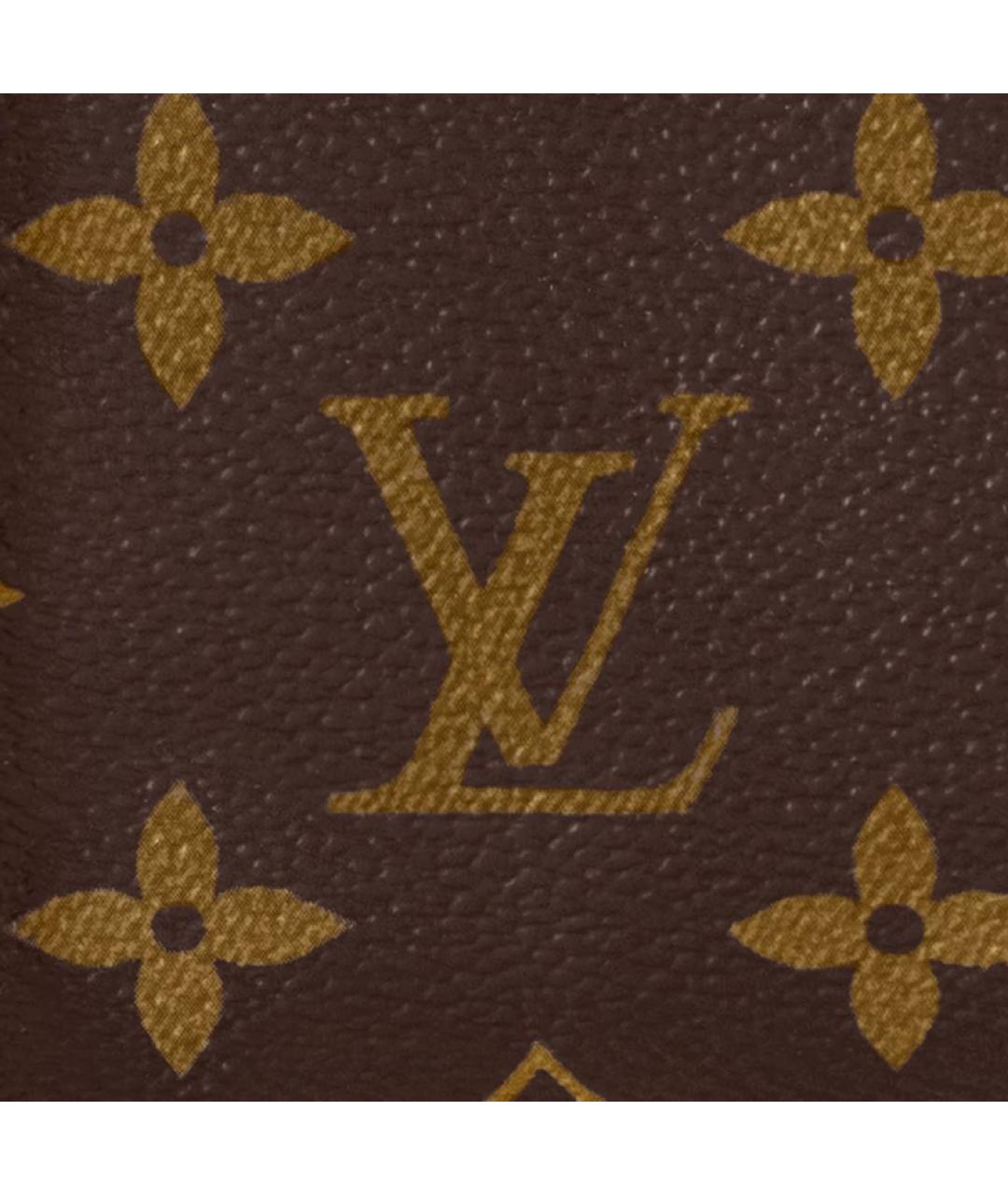 LOUIS VUITTON Коричневая сумка через плечо, фото 7