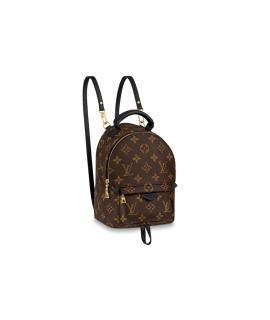 LOUIS VUITTON Рюкзак