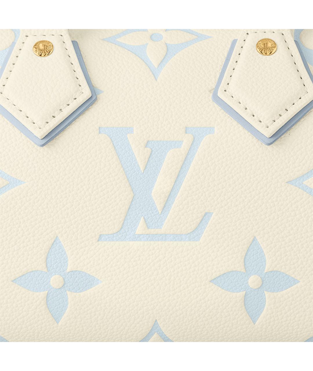 LOUIS VUITTON Голубая кожаная сумка с короткими ручками, фото 6