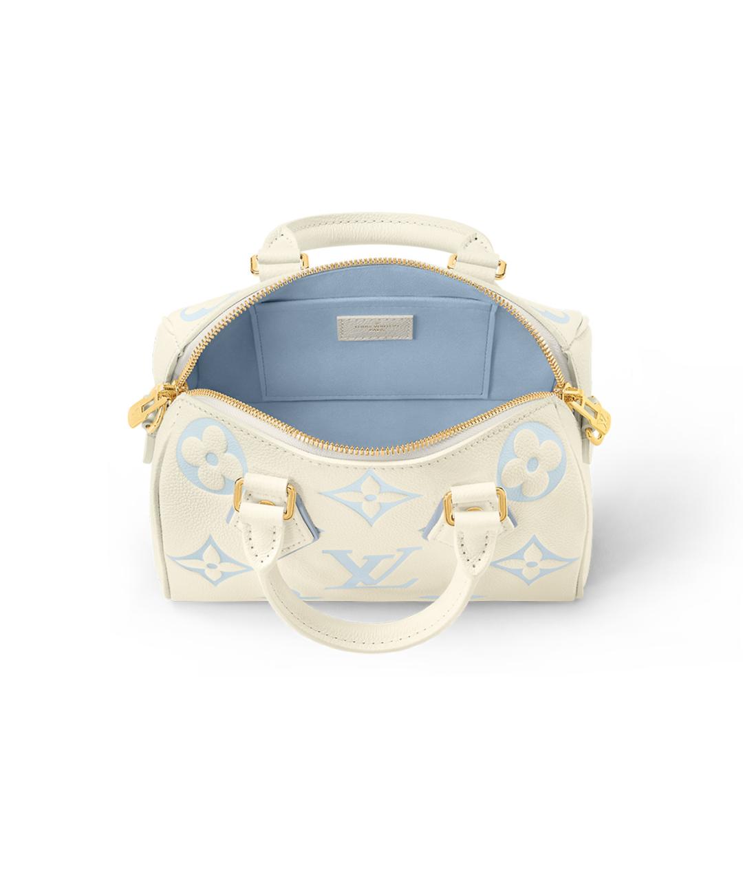 LOUIS VUITTON Голубая кожаная сумка с короткими ручками, фото 4