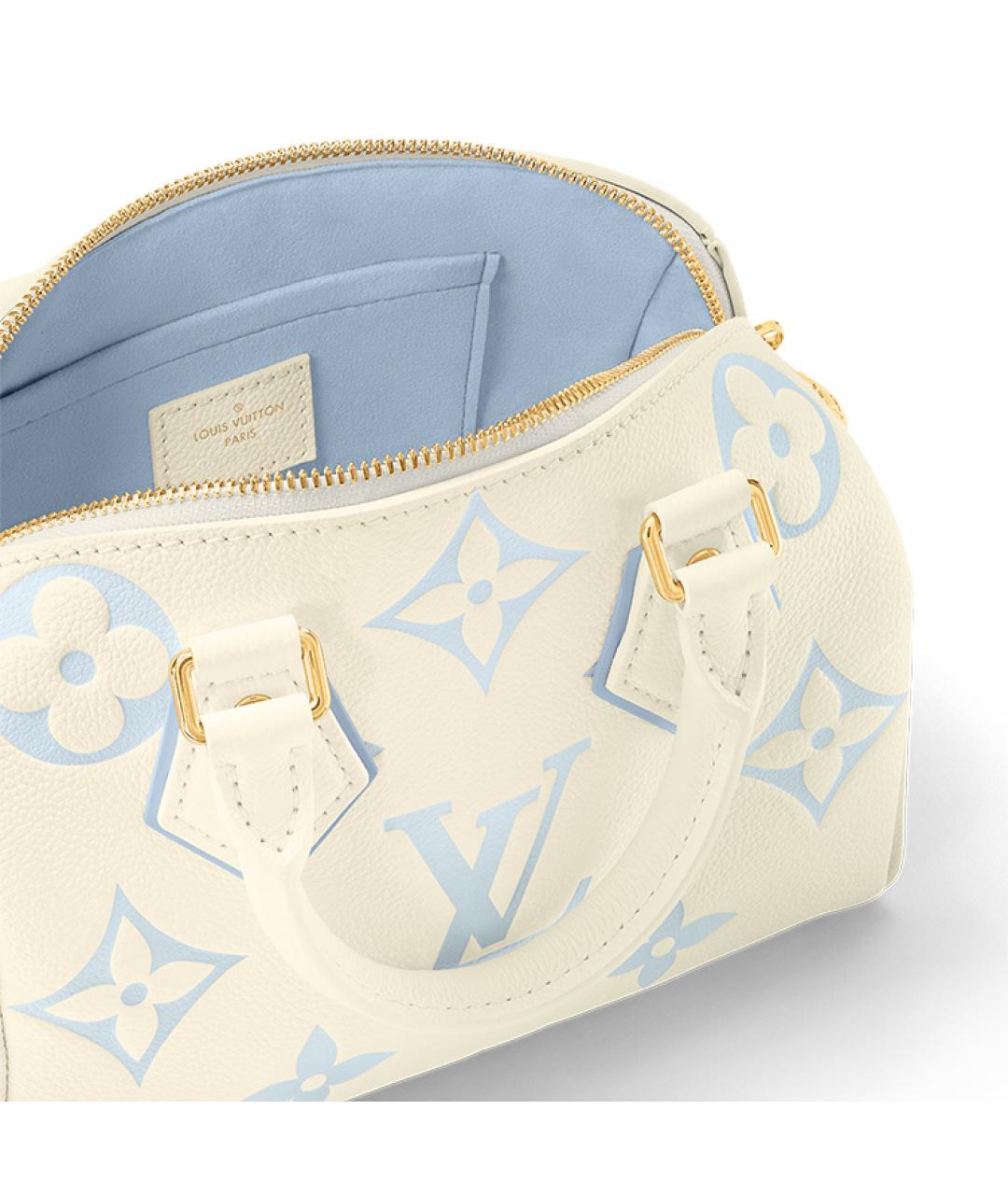 LOUIS VUITTON Голубая кожаная сумка с короткими ручками, фото 5