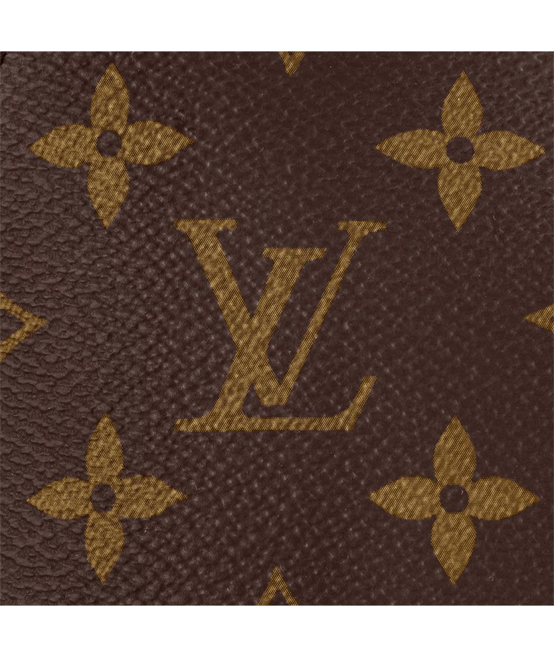 LOUIS VUITTON Коричневый рюкзак, фото 5