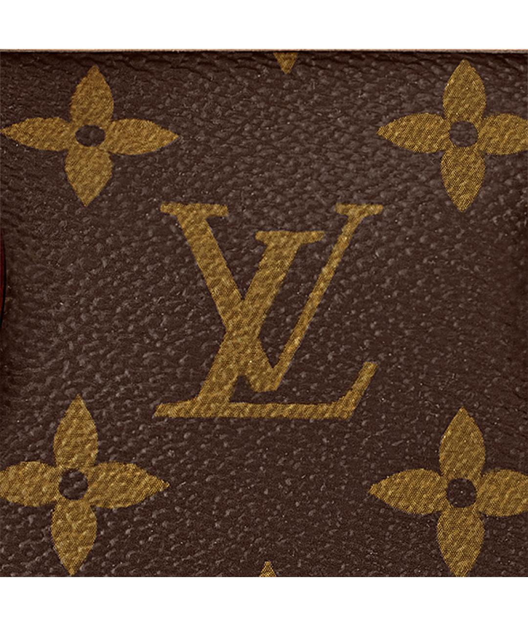 LOUIS VUITTON Коричневая сумка тоут, фото 5