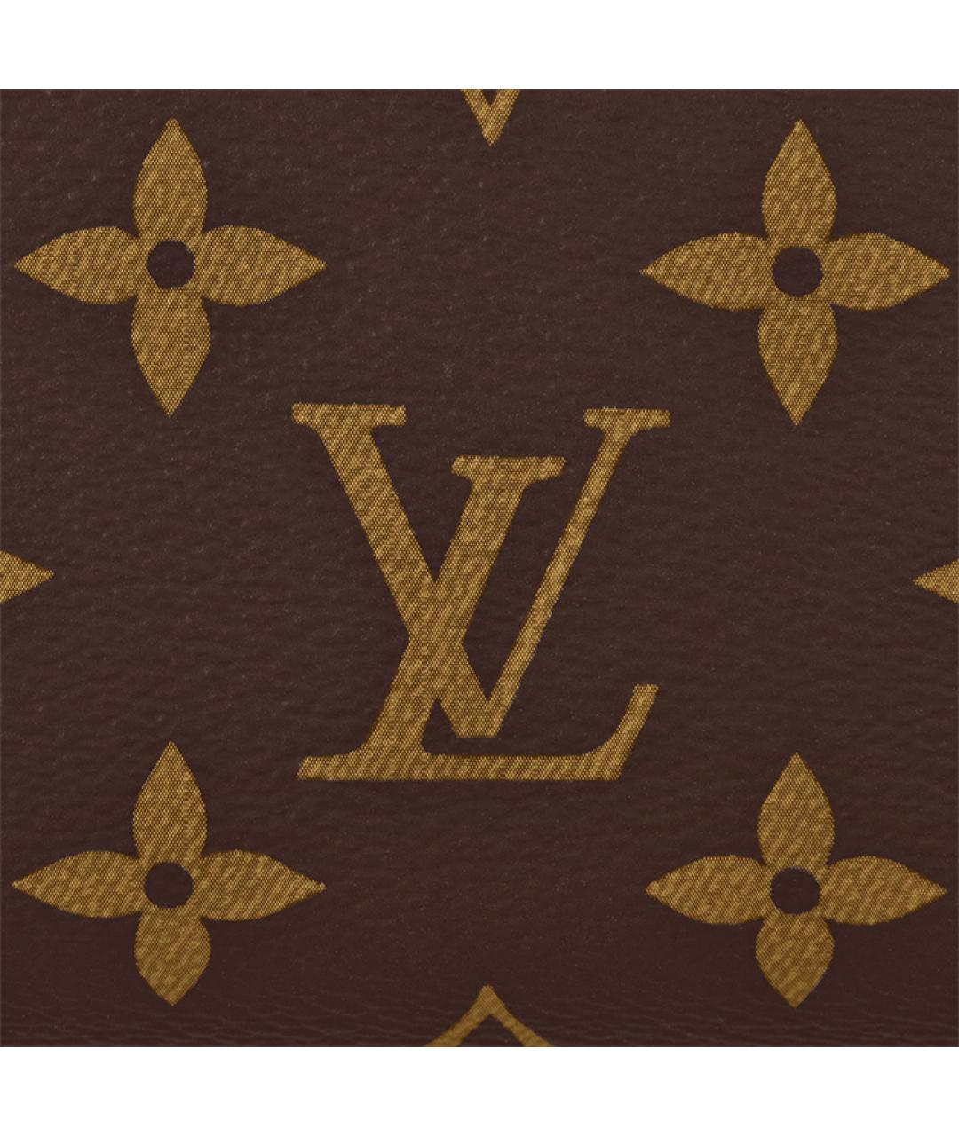 LOUIS VUITTON Коричневая сумка с короткими ручками, фото 8