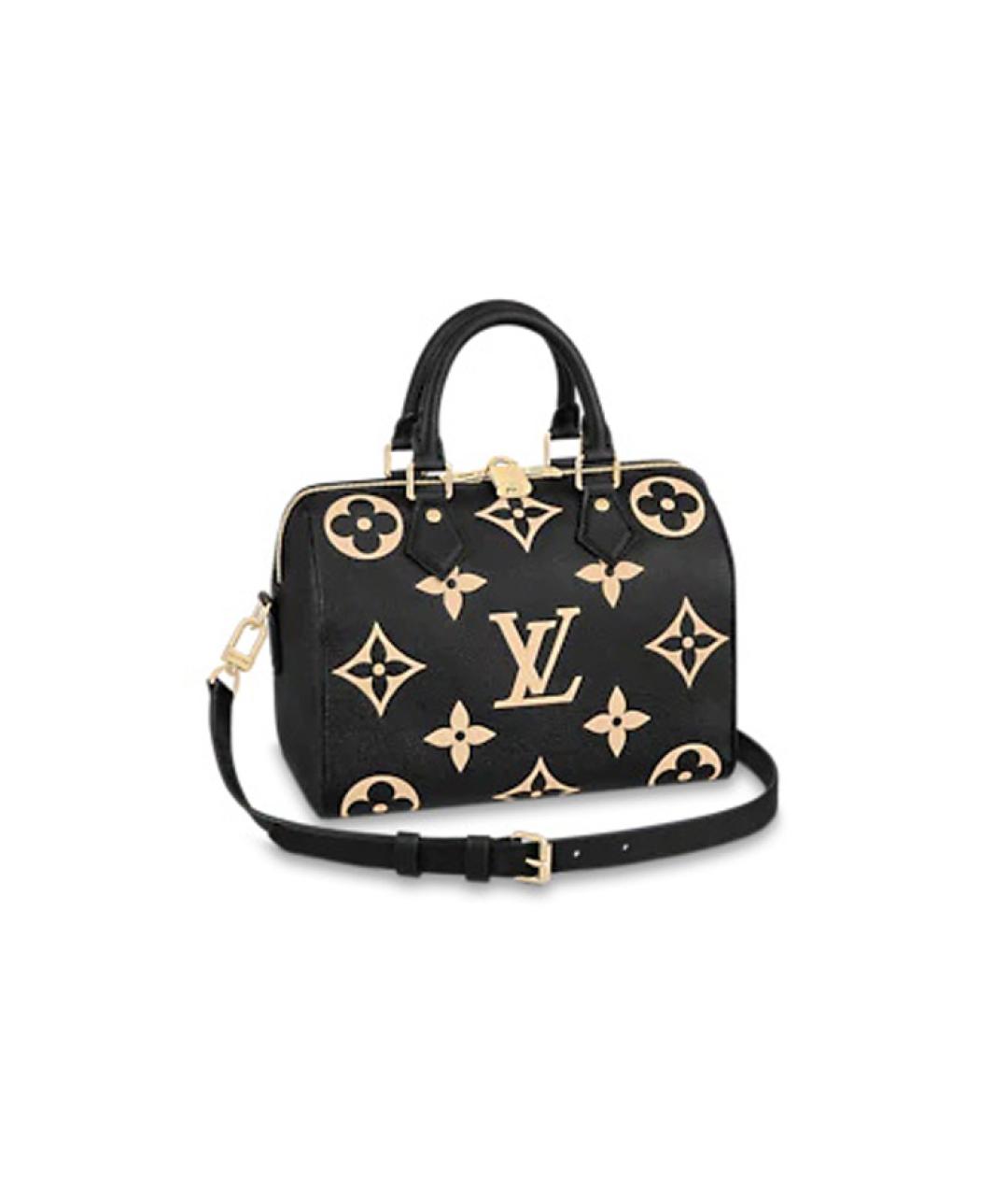 LOUIS VUITTON Черная сумка с короткими ручками, фото 1