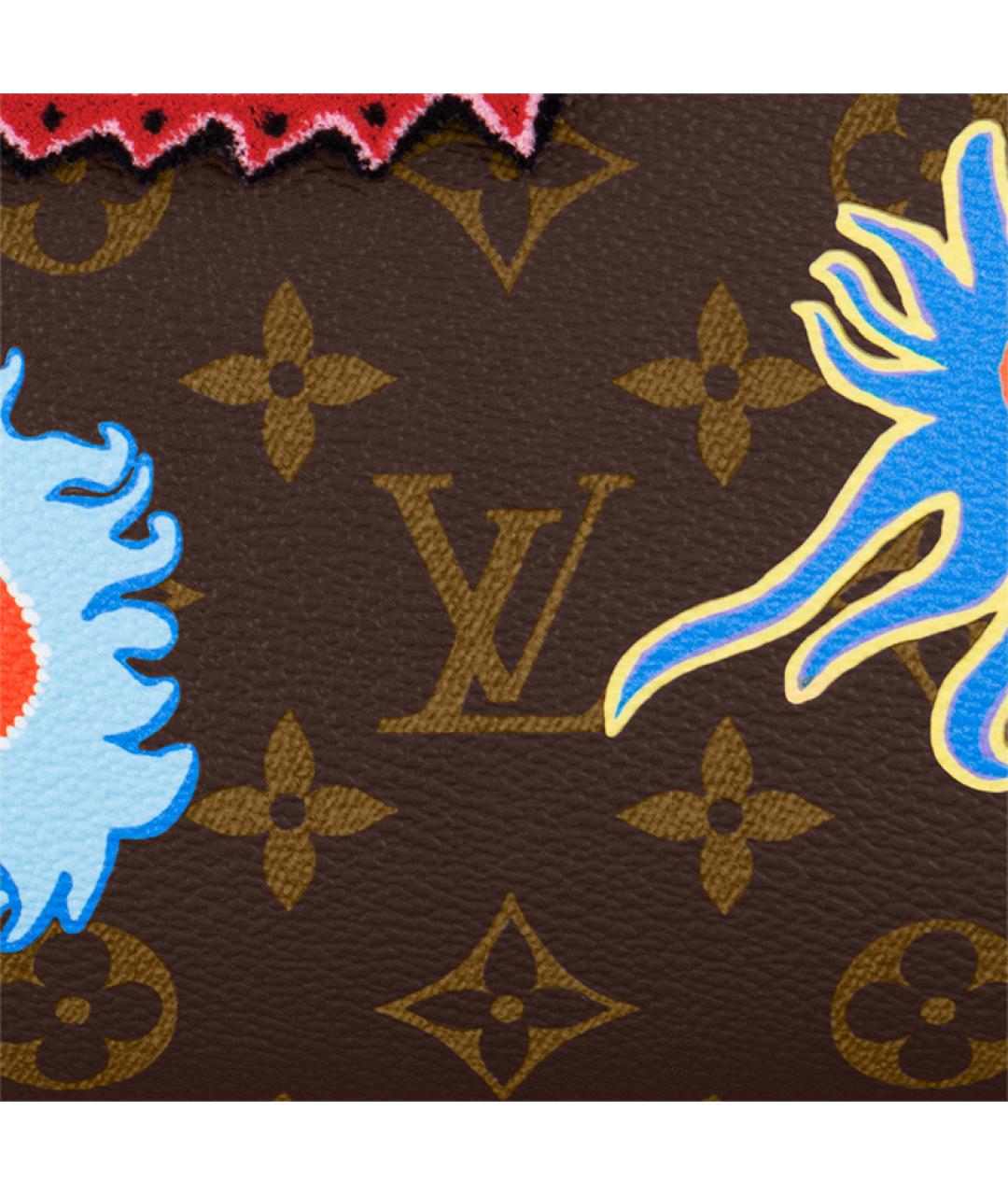 LOUIS VUITTON Коричневая сумка тоут, фото 6