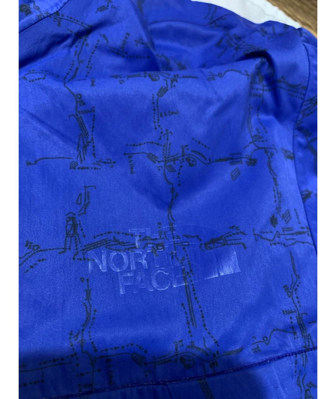 THE NORTH FACE Синяя спортивная куртка, фото 3