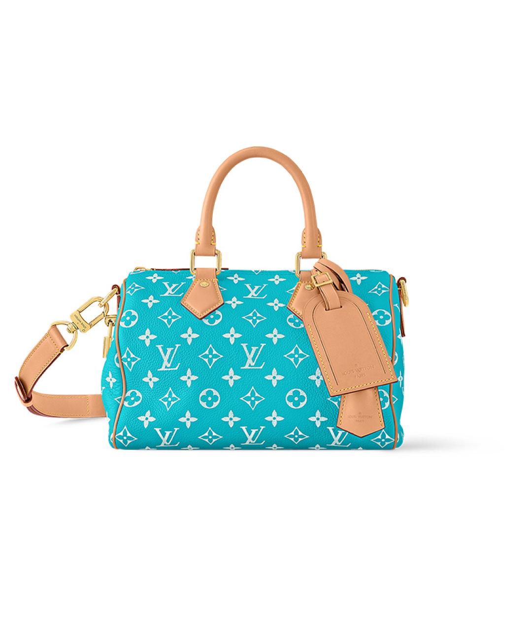 LOUIS VUITTON Бирюзовая сумка с короткими ручками, фото 2