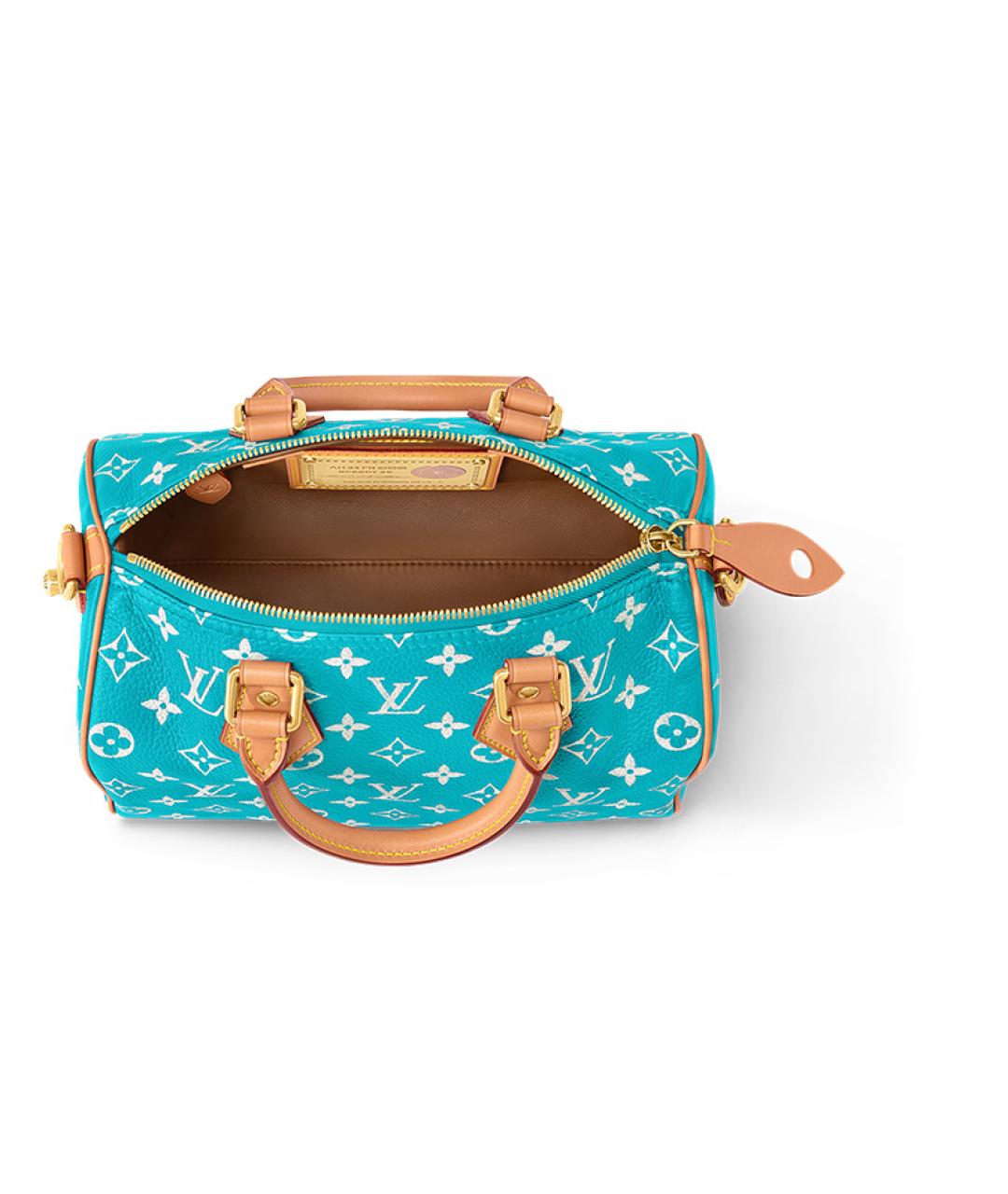 LOUIS VUITTON Бирюзовая сумка с короткими ручками, фото 4