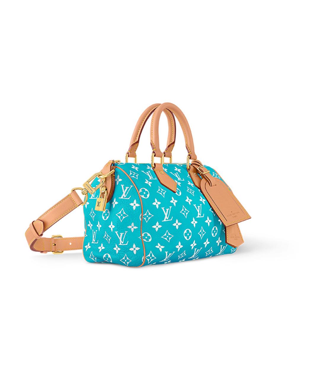 LOUIS VUITTON Бирюзовая сумка с короткими ручками, фото 3