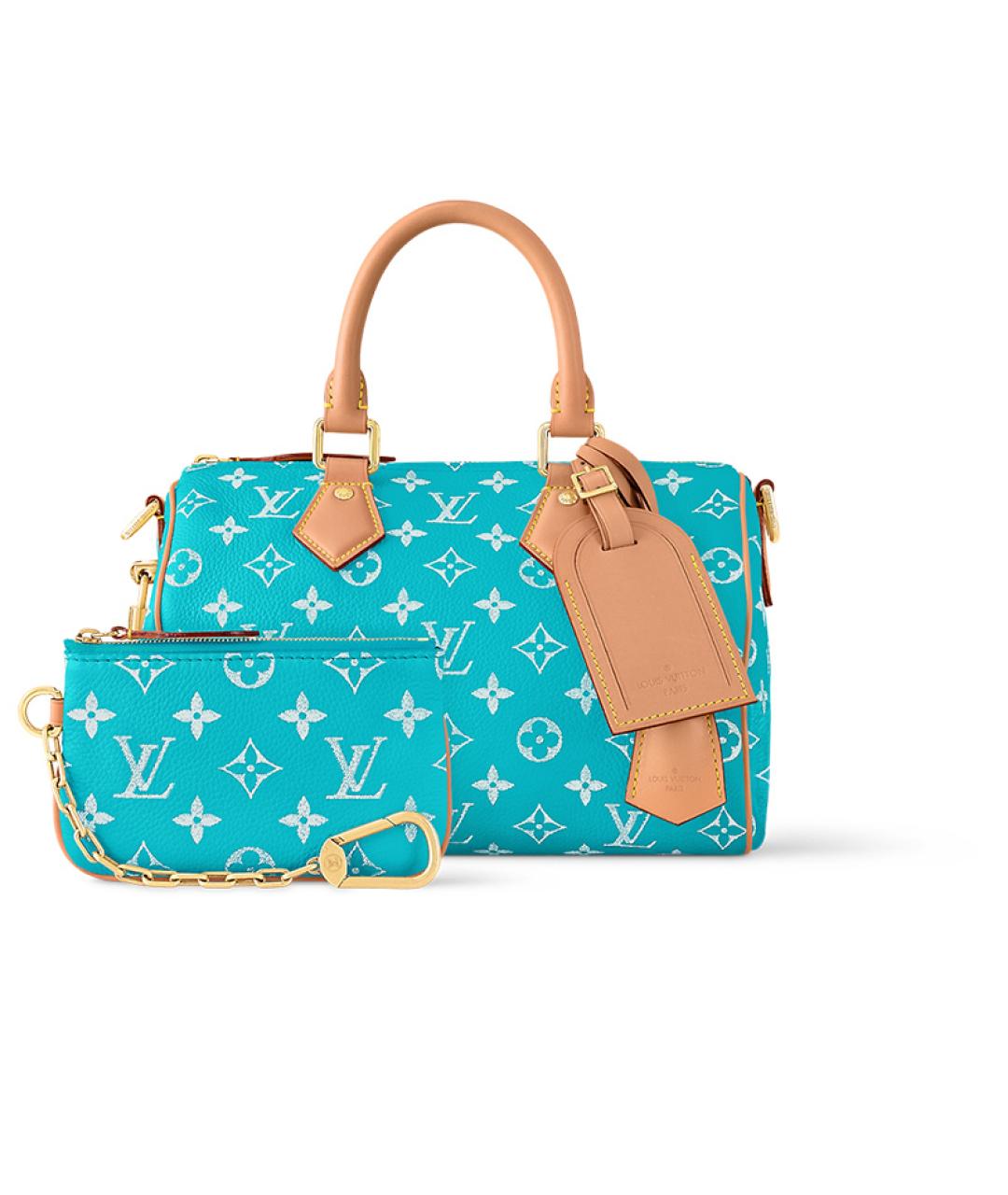 LOUIS VUITTON Бирюзовая сумка с короткими ручками, фото 1