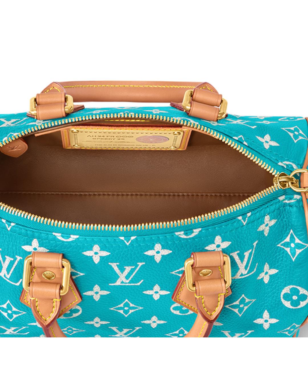 LOUIS VUITTON Бирюзовая сумка с короткими ручками, фото 5