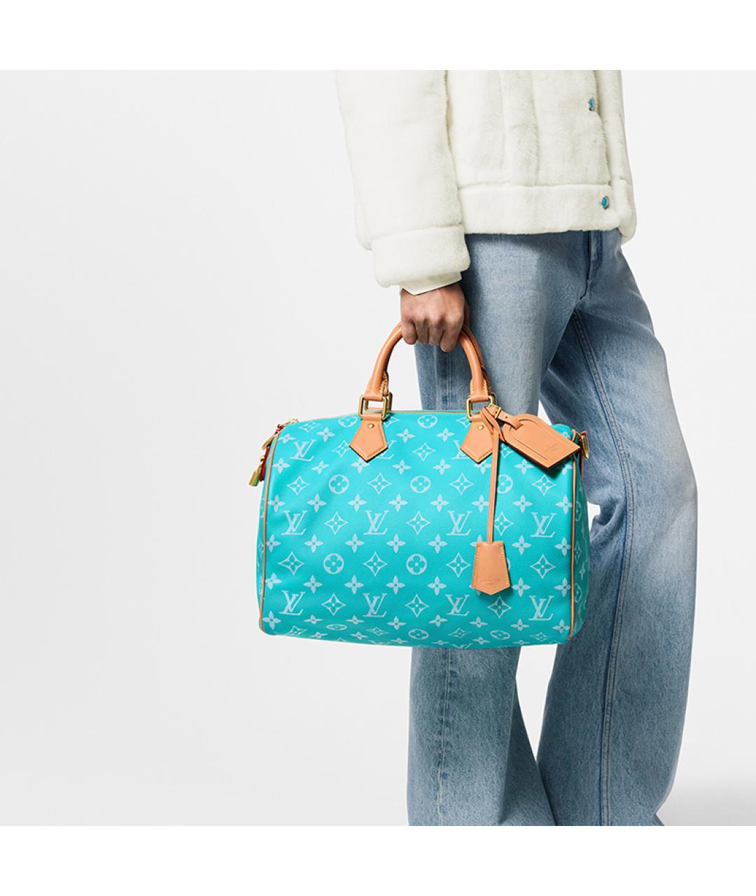 LOUIS VUITTON Дорожная/спортивная сумка, фото 8