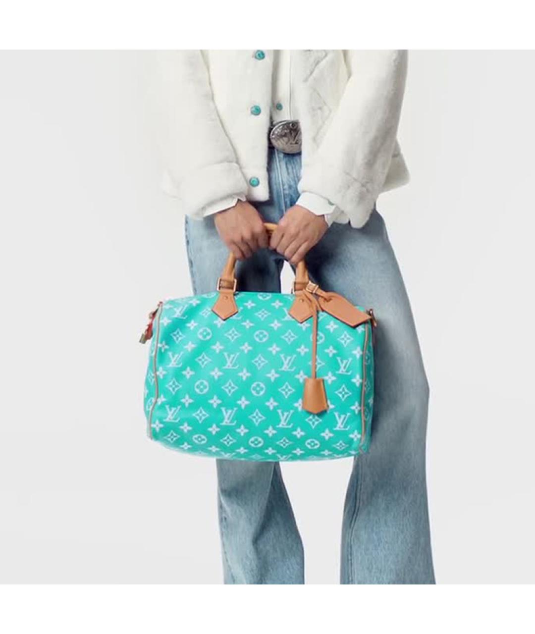 LOUIS VUITTON Дорожная/спортивная сумка, фото 6