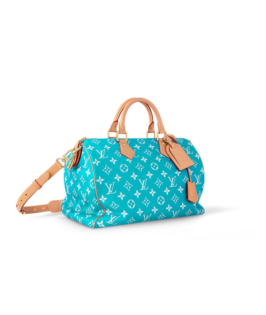 LOUIS VUITTON Дорожная/спортивная сумка, фото 2